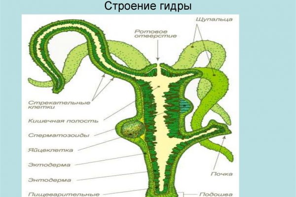 Кракен kr2web in магазин