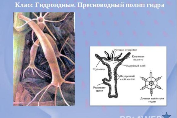 Не могу зайти на сайт кракен