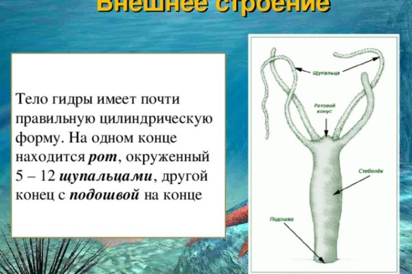 Кракен магазин kraken4am com